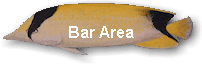 Bar Area
