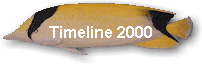 Timeline 2000