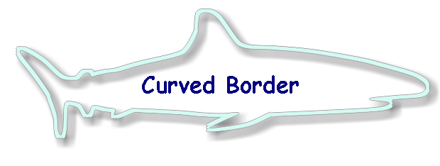 Curved Border