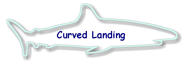 Curved Landing