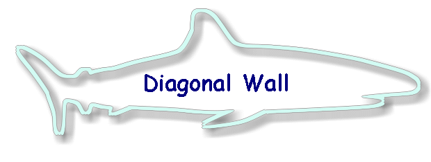 Diagonal Wall