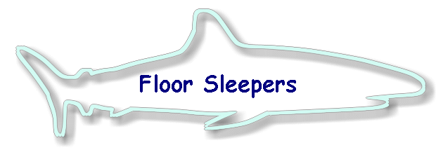 Floor Sleepers