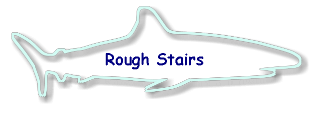 Rough Stairs
