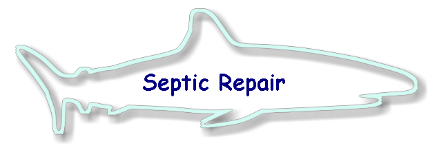 Septic Repair