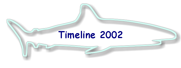Timeline 2002